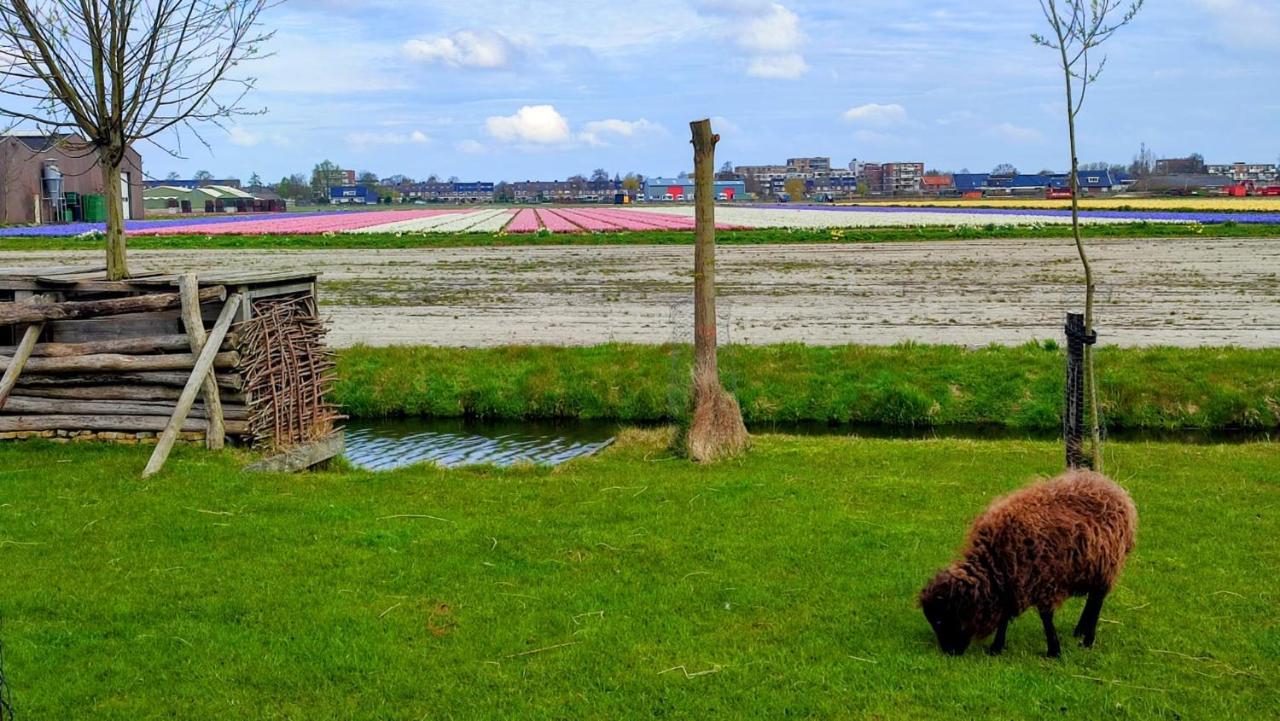 Het Dijkstuk Villa Noordwijkerhout Bagian luar foto